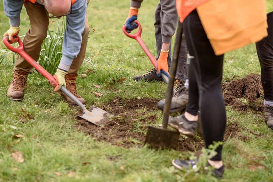 people digging